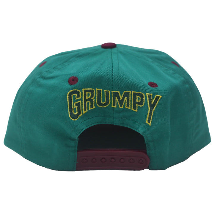 Snow White And The Seven Dwarfs Grumpy Adjustable Cap Youth