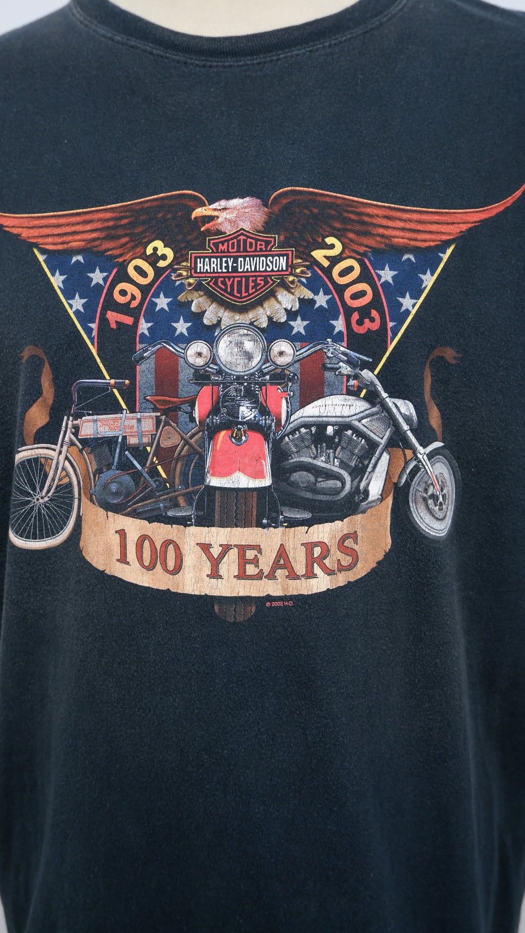 Harley Davidson J & E Greenville NC Vintage T-Shirt Made In USA