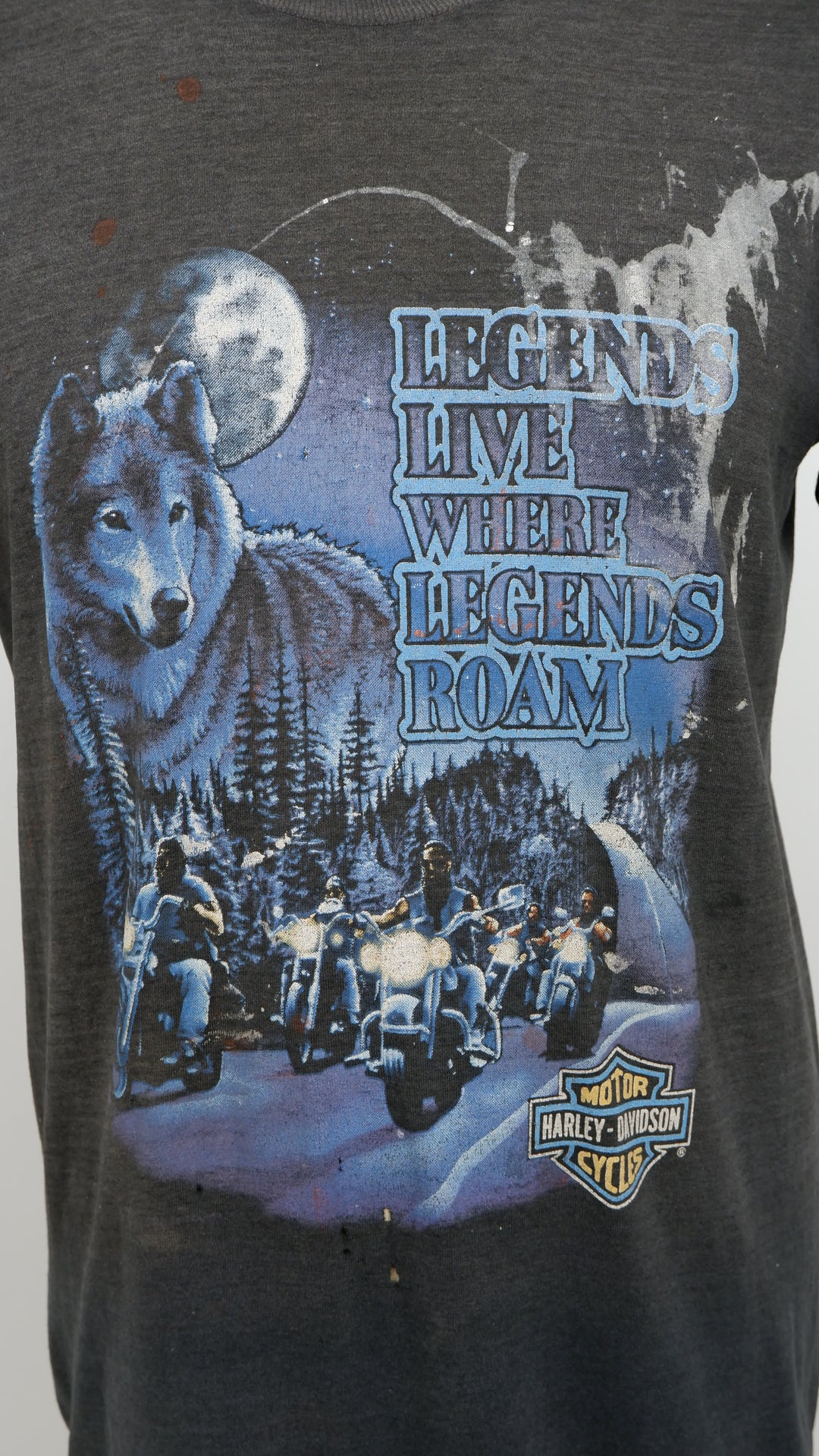 Harley Davidson Legends Live Where Legends Roam Single Stitch VTG T-Shirt