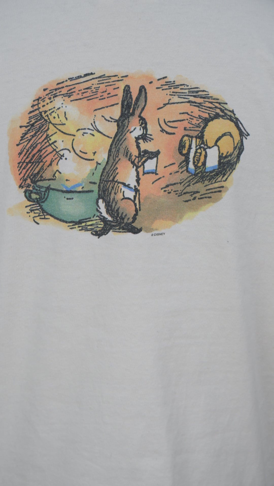 Vintage Disney Winnie The Pooh & Christopher Robin Reading Single Stitch T-Shirt