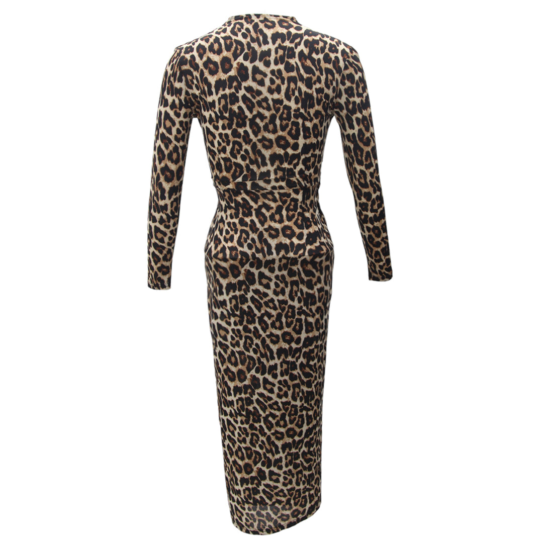 Ladies Leopard Print Long Sleeve Overlap Dress