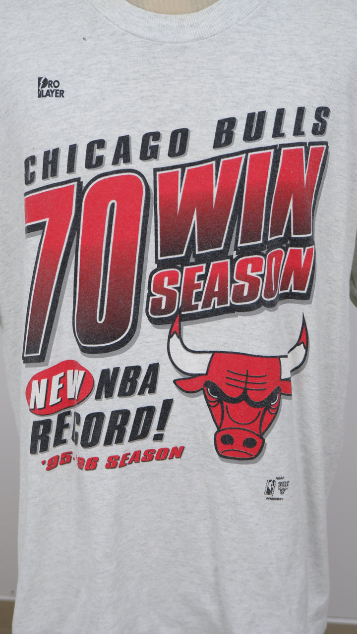 Vintage Pro Player Chicago Bulls '95-'96 Season Champion T-Shirt Single Stitch Made In USA