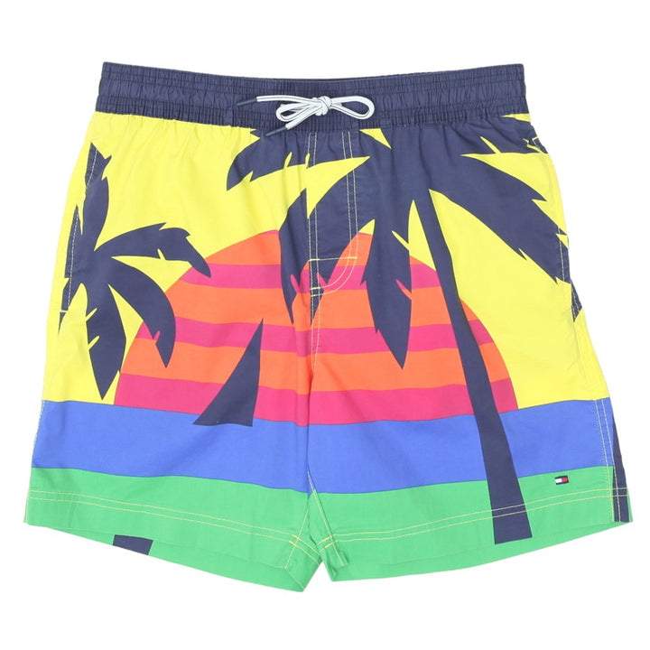 Mens Tommy Hilfiger Swim Shorts