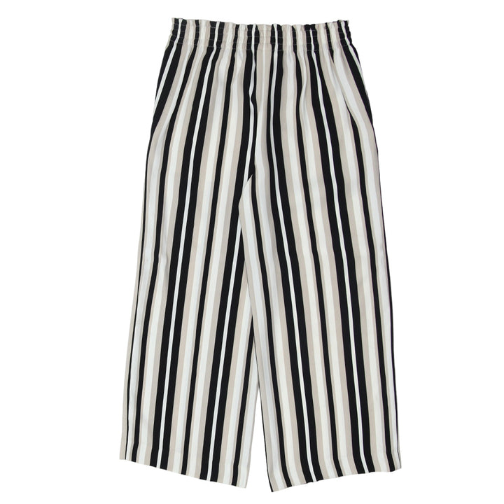 Ladies Ann Taylor Stripe Pants