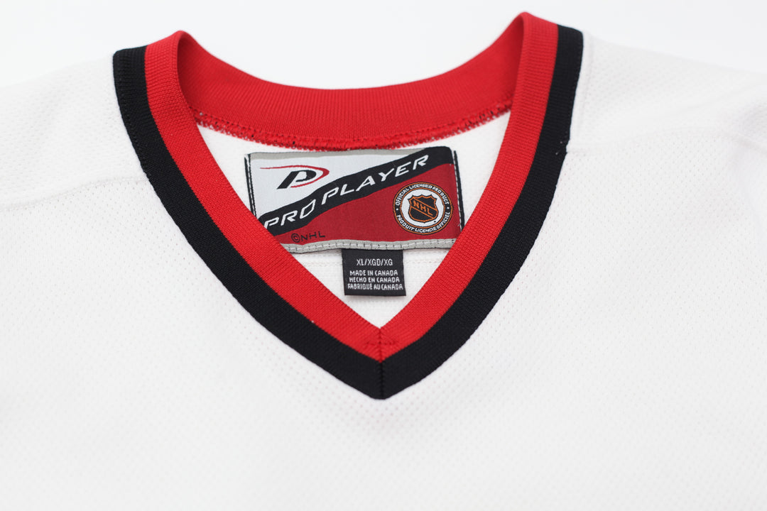 Vintage Pro Player NHL Carolina Hurricanes Hockey Jersey